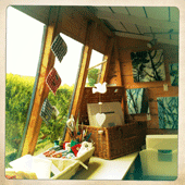 facebook gallery pic